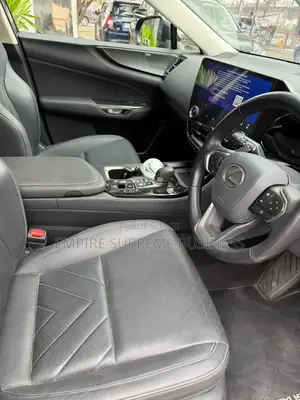 Lexus NX 2024 Noir