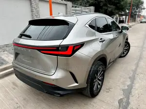 Lexus NX 2025 Gris