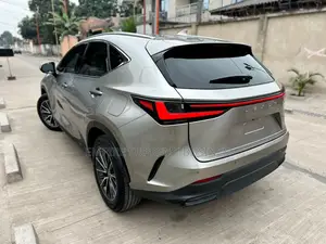 Lexus NX 2025 Gris
