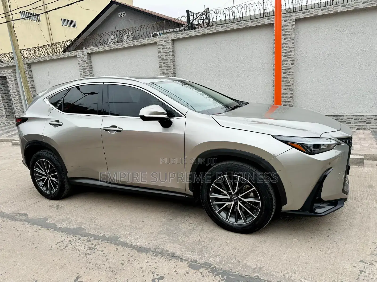 Lexus NX 2025 Gris
