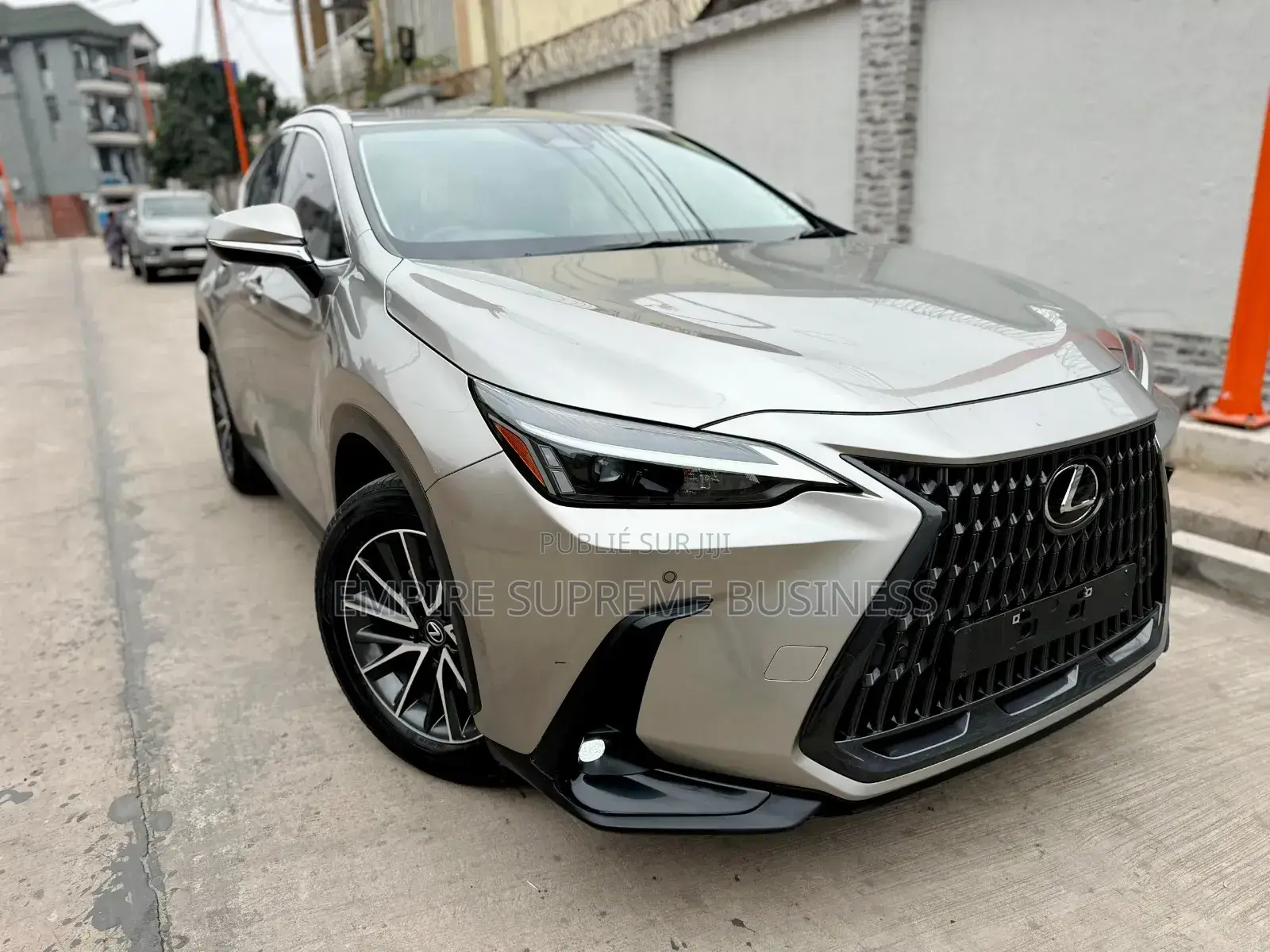 Lexus NX 2025 Gris