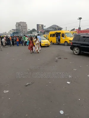Parcelle Commerciale Sur Principale Kimbuta À Vendre À N'djili Q.12