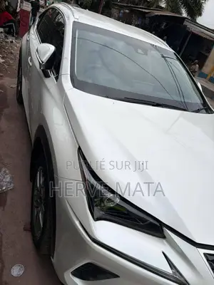 Lexus RX 2022 Blanc
