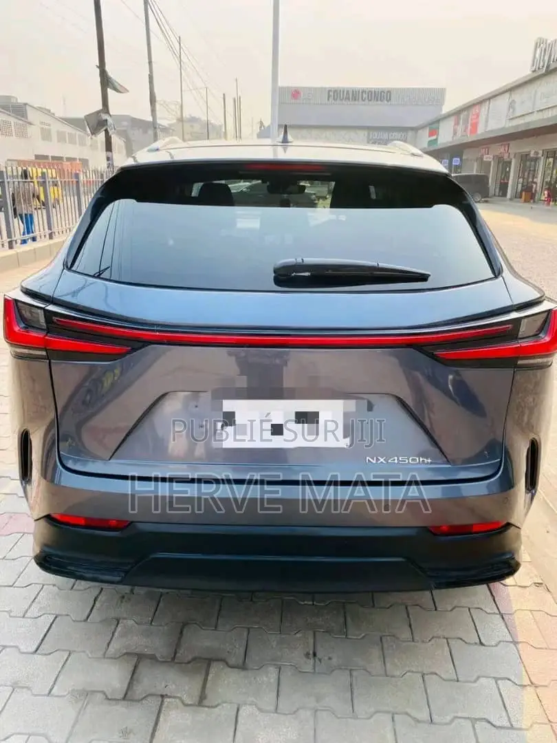 Lexus NX 450h+ AWD 2023 Gris