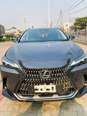 Lexus NX 450h+ AWD 2023 Gris