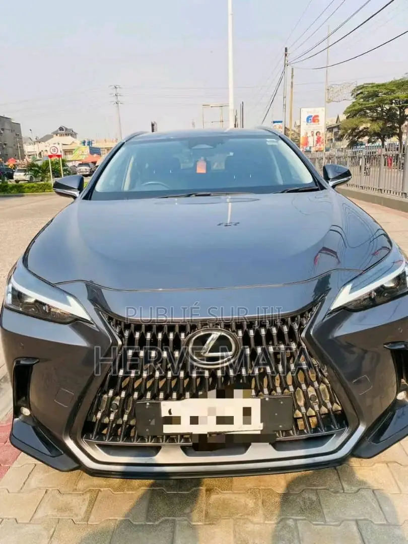Lexus NX 450h+ AWD 2023 Gris