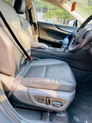 Lexus NX 450h+ AWD 2023 Gris