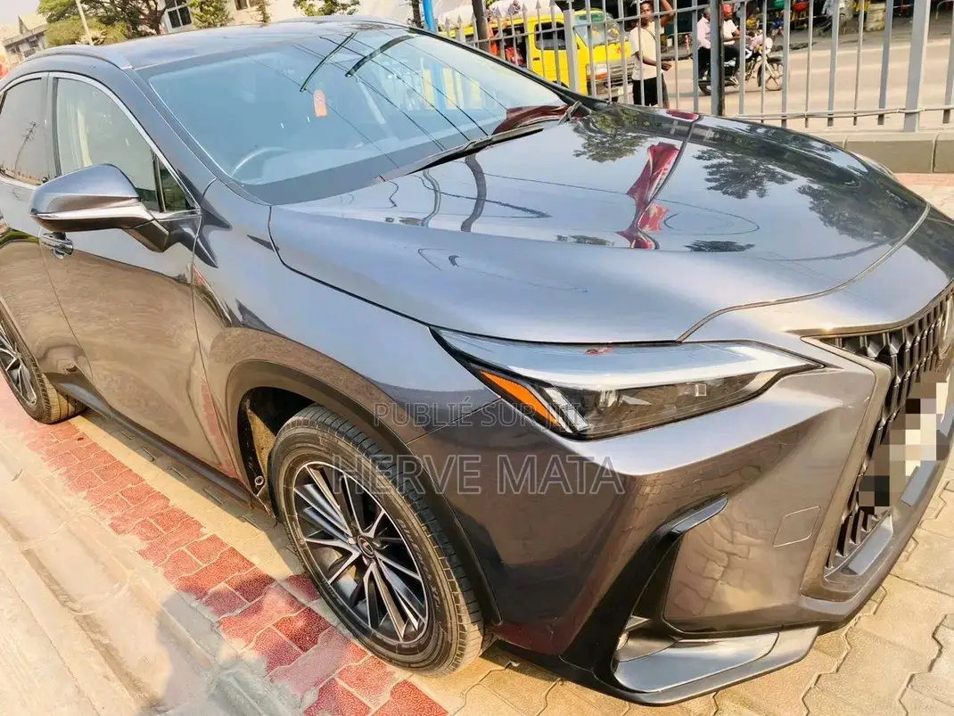 Lexus NX 450h+ AWD 2023 Gris