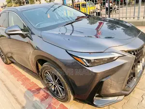 Lexus NX 450h+ AWD 2023 Gris