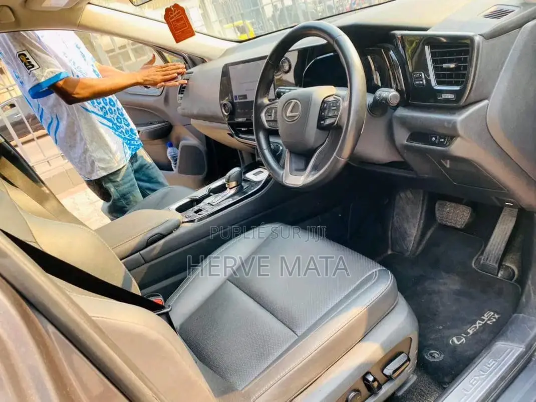 Lexus NX 450h+ AWD 2023 Gris