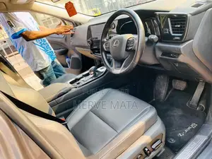 Lexus NX 450h+ AWD 2023 Gris