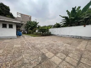 Parcelle À Vendre À Mimosas, Ngaliema – Possibilité De Morcellement