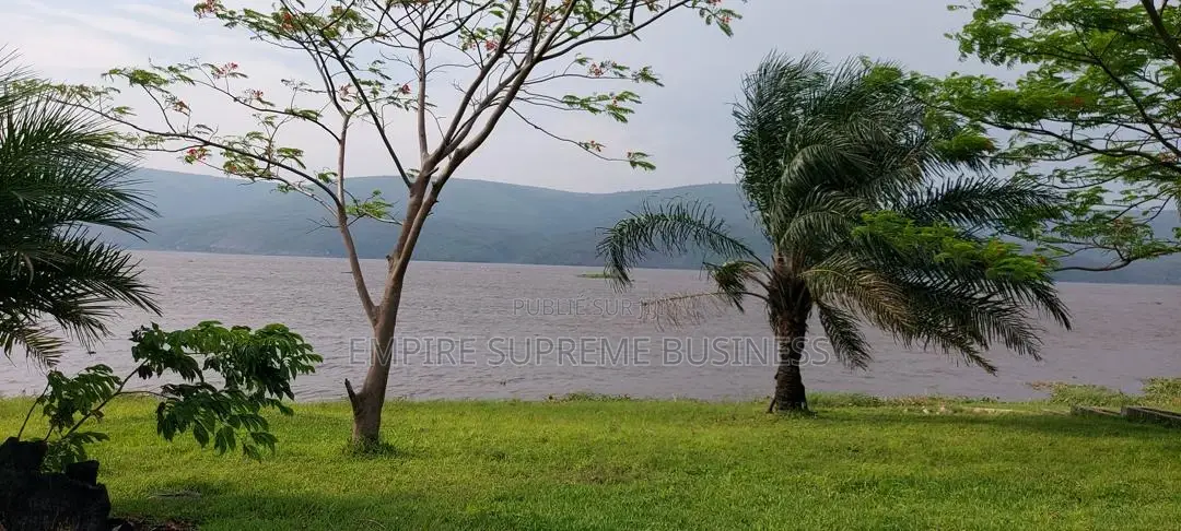 – 150 Hectares en Bordure Du Fleuve À Malukuempire Supreme Business