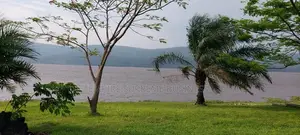 – 150 Hectares en Bordure Du Fleuve À Malukuempire Supreme Business