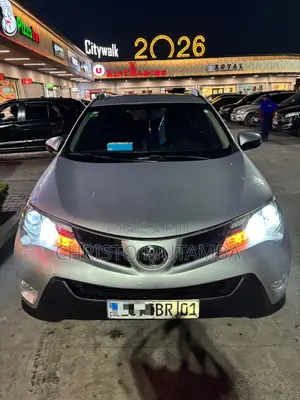 Toyota RAV4 XLE 4dr SUV AWD (2.5L 4cyl 6A) 2015 Gris