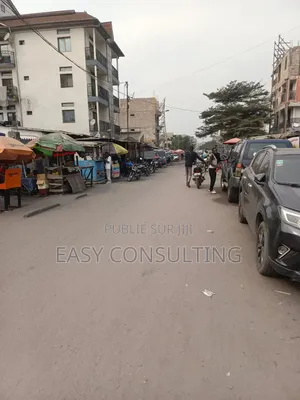 Deux Derniers Parties d'Une Parcelle en Vente Sur Macadam À Barumbu