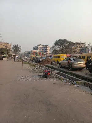 Vente Parcelle À Barumbu Sur Macadam – Au Coin | Morcellement Possible