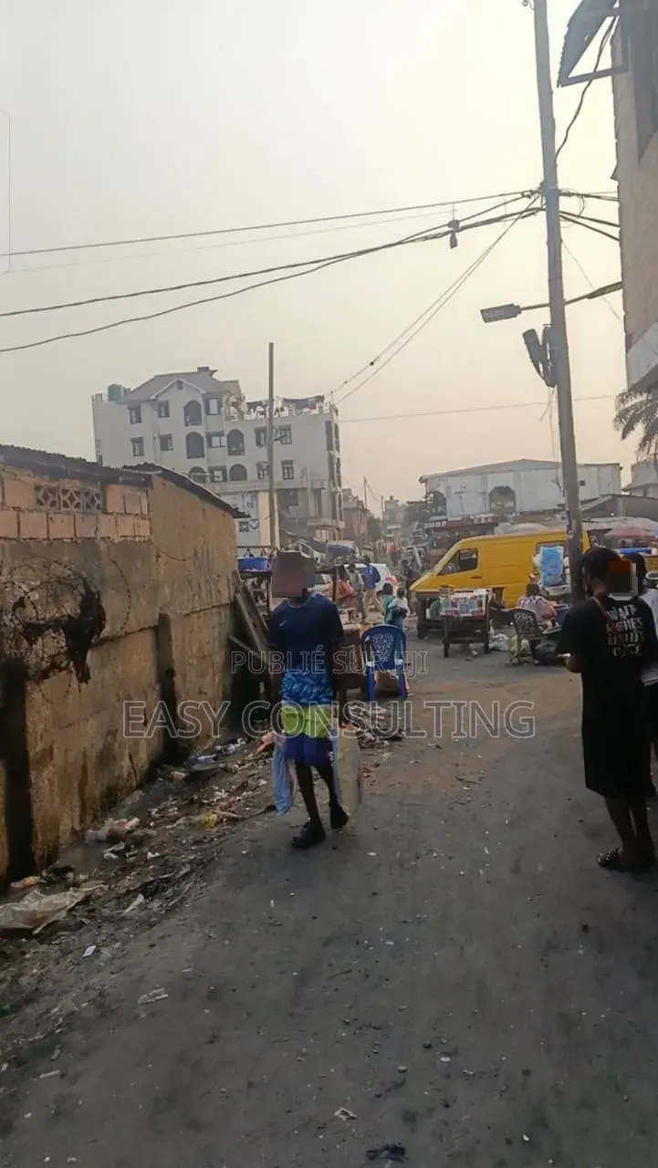Vente Parcelle À Barumbu Sur Macadam – Au Coin | Morcellement Possible
