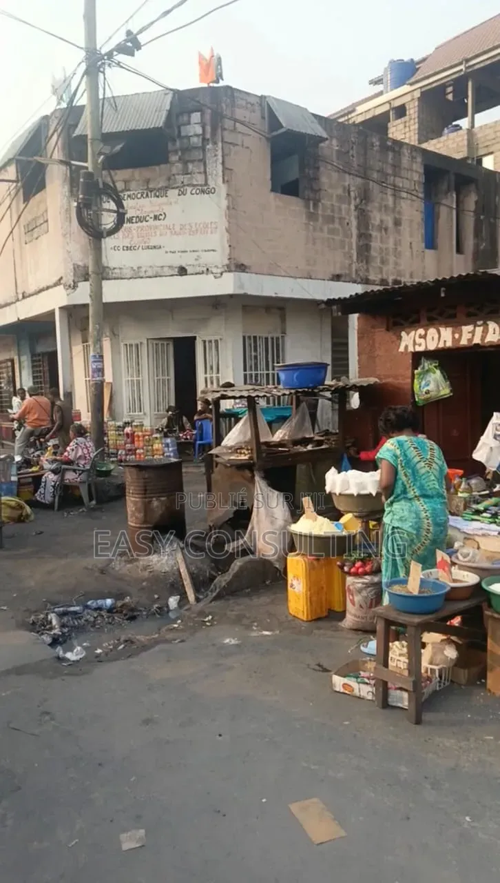 Vente Parcelle À Barumbu Sur Macadam – Au Coin | Morcellement Possible