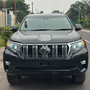 Toyota Land Cruiser Prado 2020 Gris
