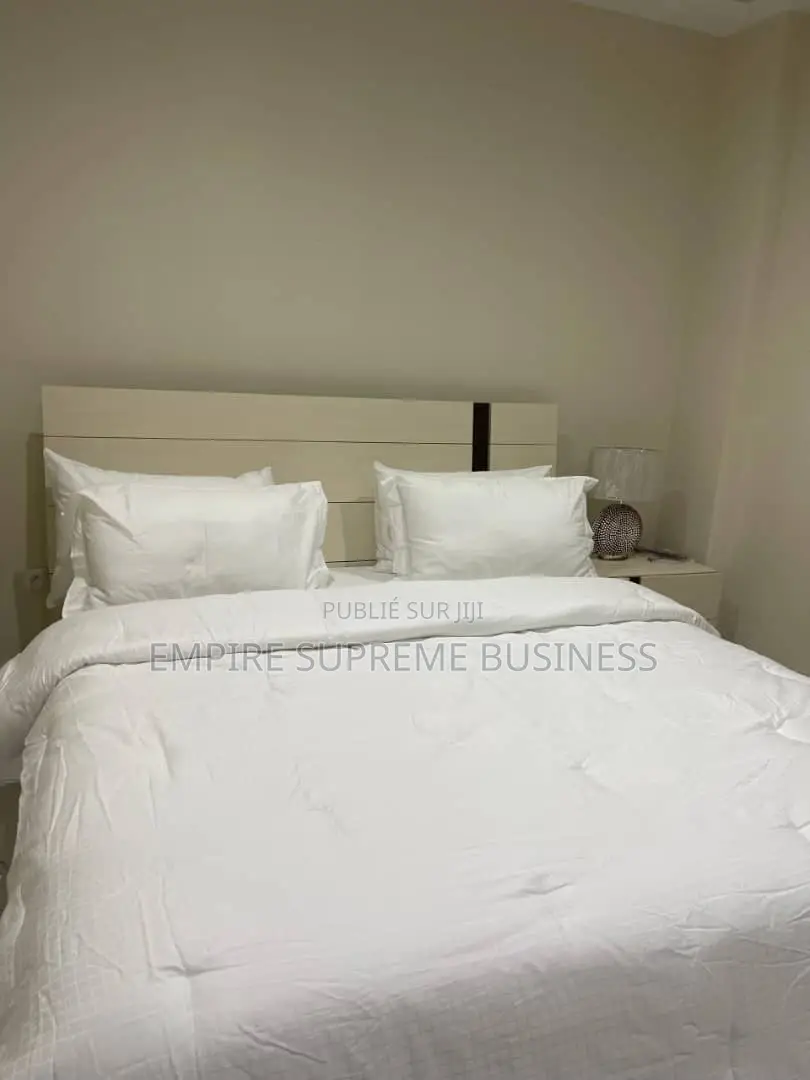 Un Appartement Meublé À Louer À Kintambo Bel Emplacement