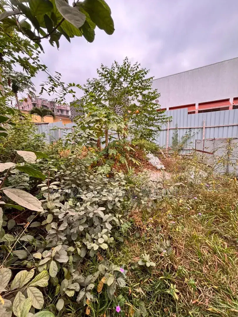 Terrain a Vendre