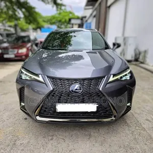 Lexus UX 2021 Gris