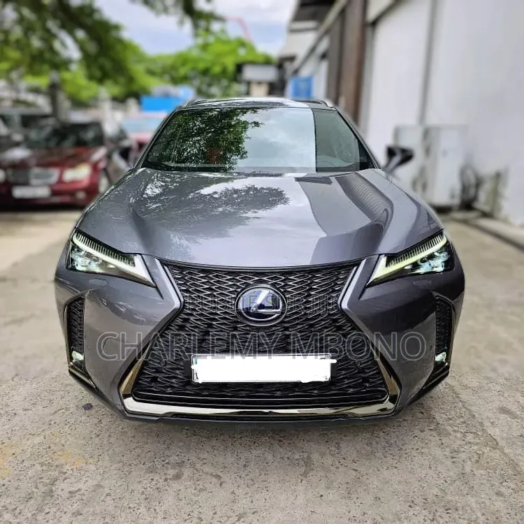 Lexus UX 2021 Gris