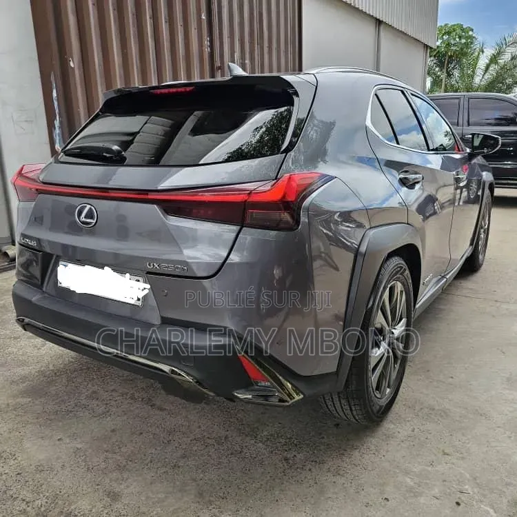 Lexus UX 2021 Gris