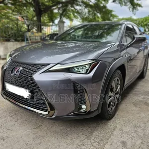 Lexus UX 2021 Gris