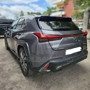 Lexus UX 2021 Gris