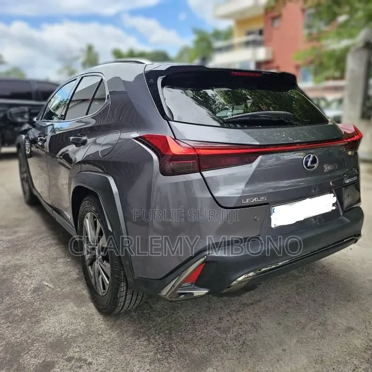 Lexus UX 2021 Gris