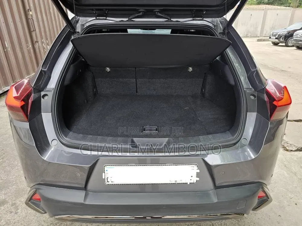 Lexus UX 2021 Gris
