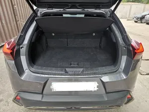 Lexus UX 2021 Gris