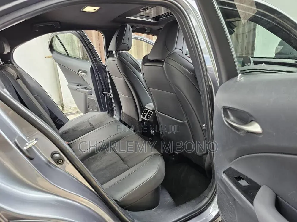 Lexus UX 2021 Gris