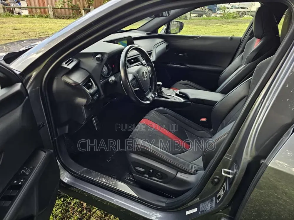 Lexus UX 2021 Gris