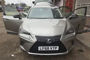 Lexus NX 2020 Gris