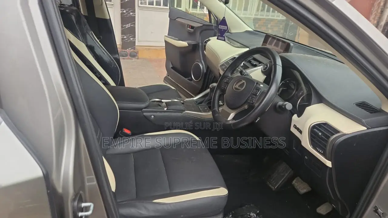 Lexus NX 2020 Gris