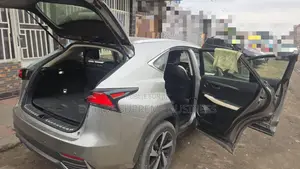 Lexus NX 2020 Gris