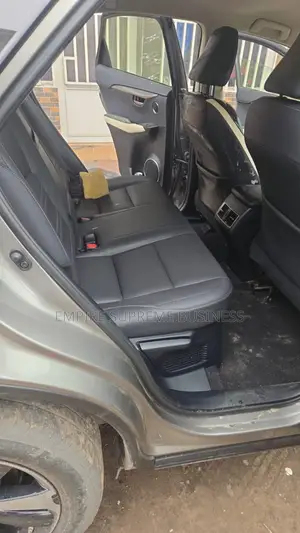 Lexus NX 2020 Gris