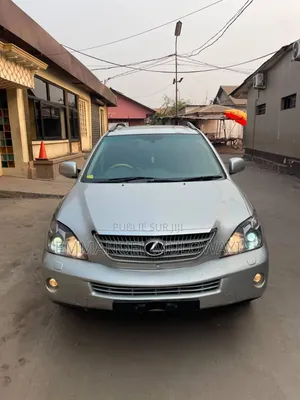 Nouveau Lexus RX 2010 Gris