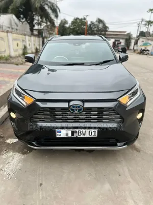 Toyota RAV4 2021 Gris