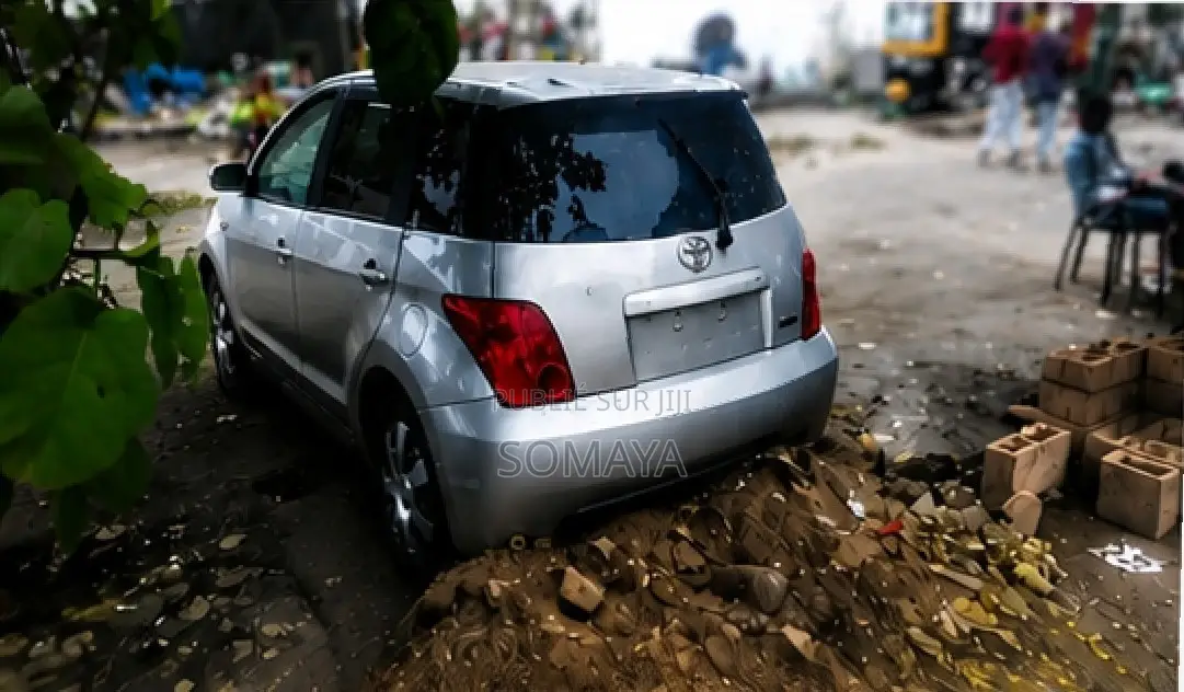 Toyota IST 2006 Gris