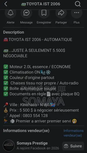 Toyota IST 2006 Gris