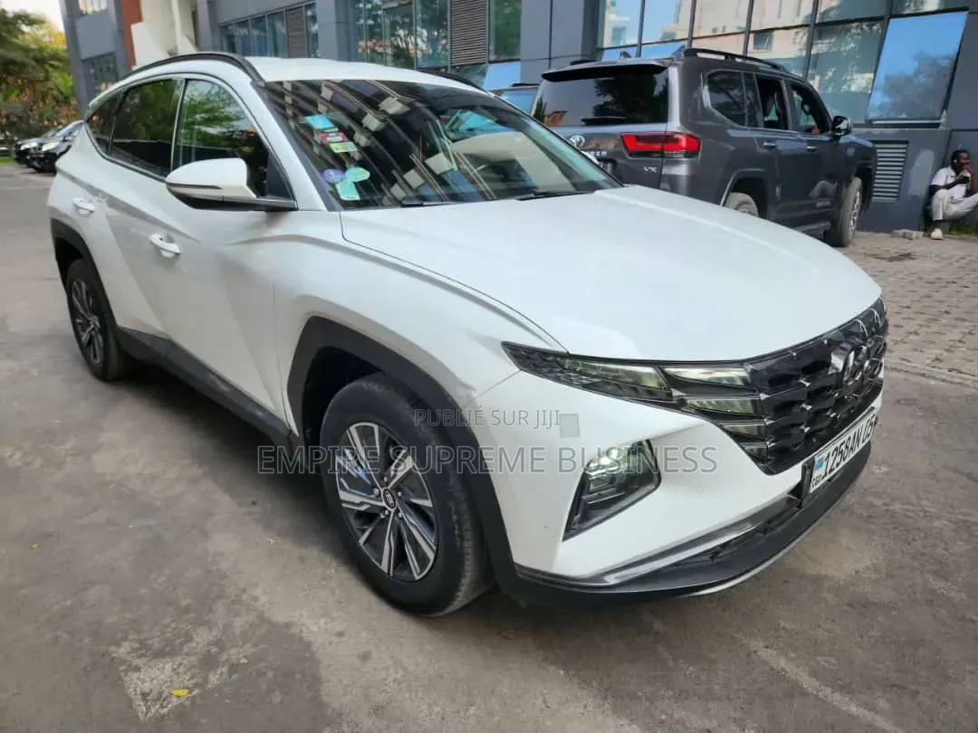 Hyundai Santa Fe 2023 Blanc