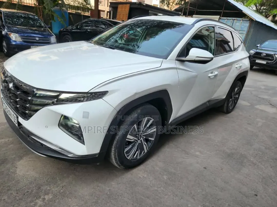 Hyundai Santa Fe 2023 Blanc