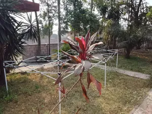 5chbre Villa dans Ngaliema à Vendre