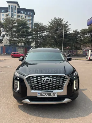Hyundai Palissade 2022 Noir