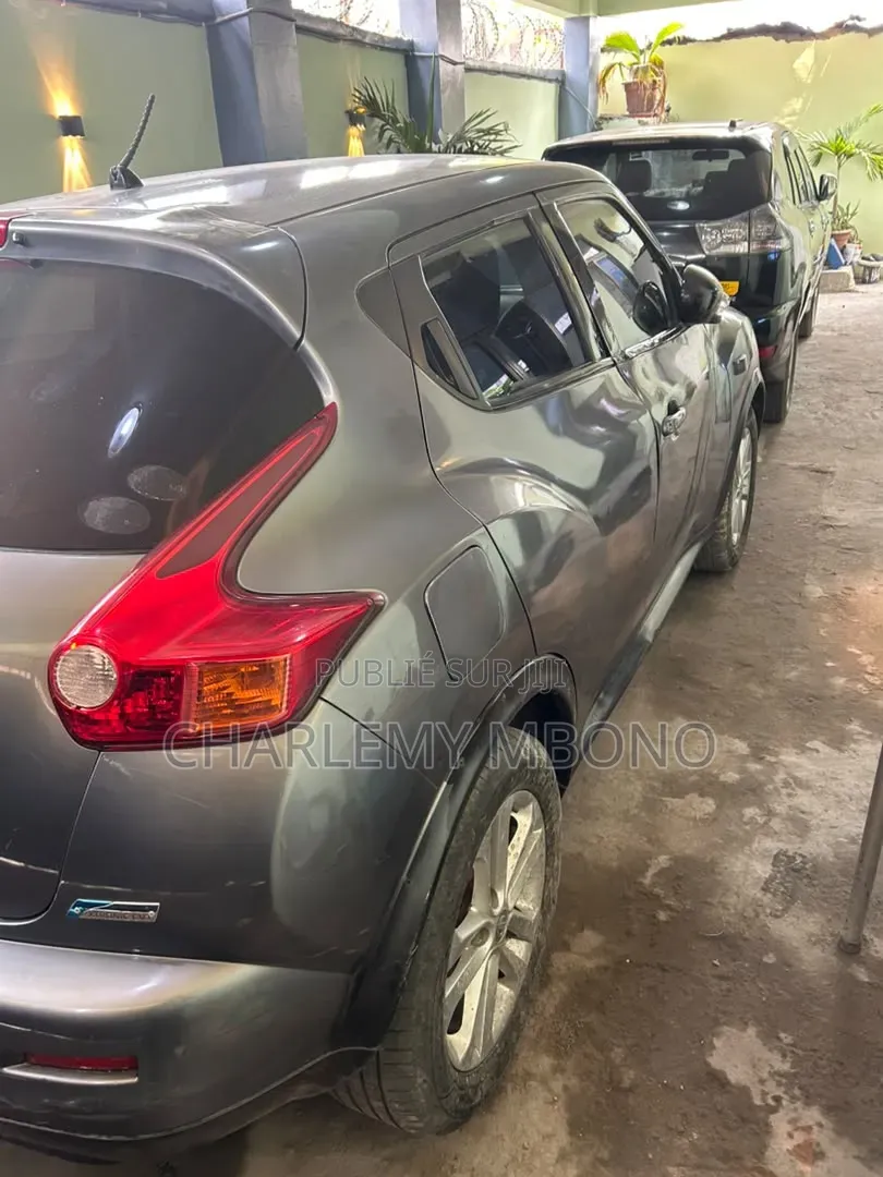 Nissan Juke S AWD 2012 Gris