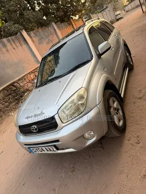 Toyota RAV4 2010 Gris